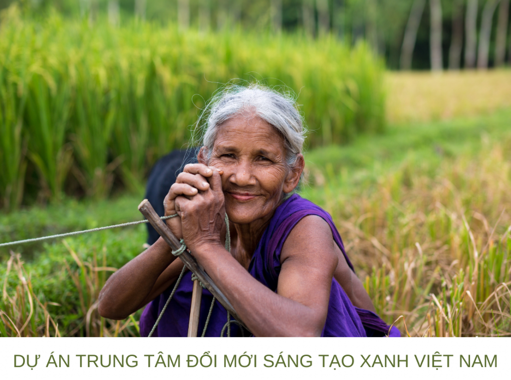 du-an-trung-tam-doi-moi-sang-tao-xanh-viet-nam-1024x761-1