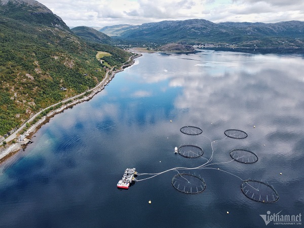 Na Uy hỗ trợ VN phát triển ngành nuôi trồng thủy sản xanh