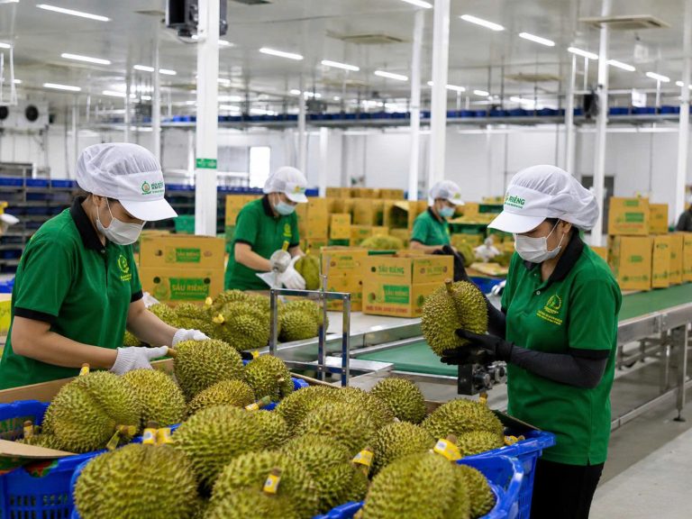 Hội nghị Sầu riêng châu Á lần hai tại Việt Nam: Minh bạch hoá chuỗi cung ứng